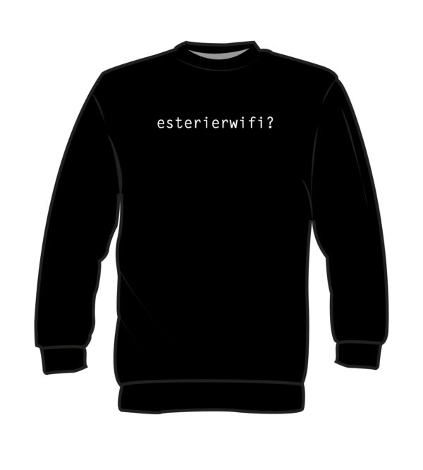 esterierwifi-sweater